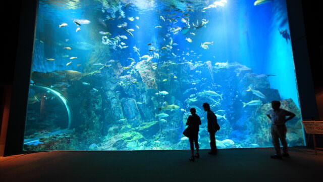 02男鹿水族館　GAO-640x360